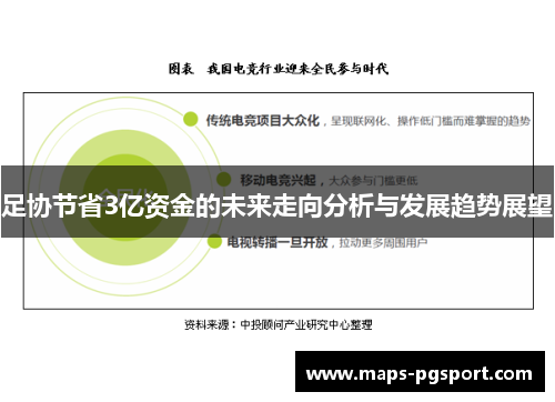 足协节省3亿资金的未来走向分析与发展趋势展望