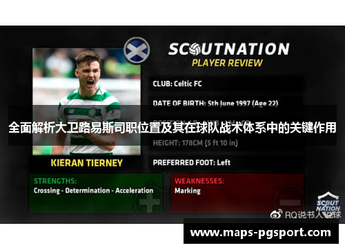 全面解析大卫路易斯司职位置及其在球队战术体系中的关键作用