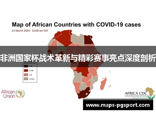 非洲国家杯战术革新与精彩赛事亮点深度剖析