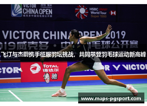 飞汀与杰蔚携手征服羽坛挑战，共同攀登羽毛球运动新高峰